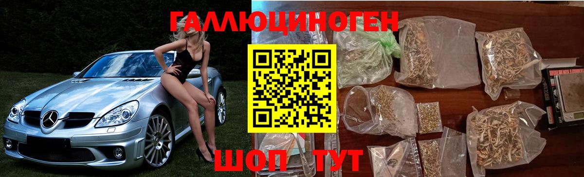 Галлюциногенные грибы Psilocybine cubensis Корсаков